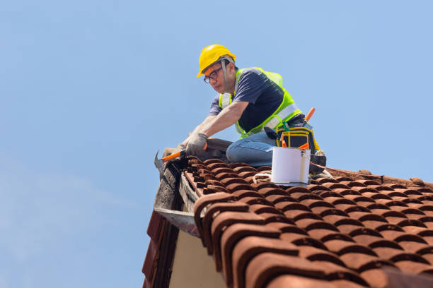 Best Roof Maintenance and Cleaning  in Madelia, MN